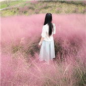 2Сʱȥ����������