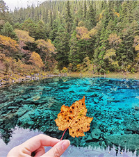 ��կ������������