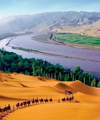 �����ƺ��޼�--Ұ������֮��+��2019���������μǡ�