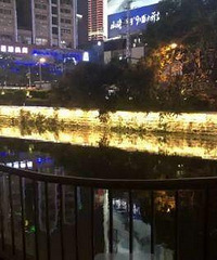 李心草到底经历了什么?