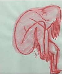 �����Ѵӻ滭����ѧ������ѩ��Ļ�