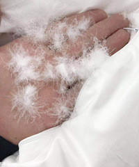 �����򡿶������ˣ���ʵ�����ޱ���Ҫô��