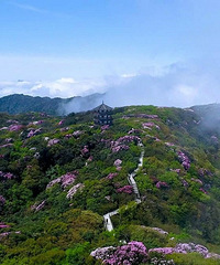 金佛山西坡还是北坡好耍?2019观光指南,去金佛山西坡还是北坡好