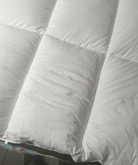 �����������˴��ޱ����������ģ�������������ȥ