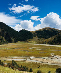 �������ߣ������������ӣ�ɫ��뿨��