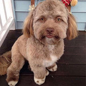 �⹷���������е�����