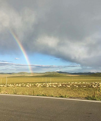 �˾�2000�Լݸ����ؾ�