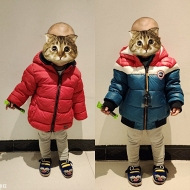 ���۰�Ԫ�Ĺ���ͯװ