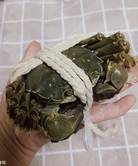 ԵĴբзˣƷʻÿֻ滹жά