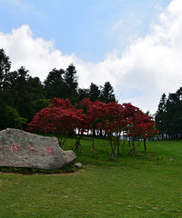 ��ĩ����ȥ��Ůɽ��ԭ����