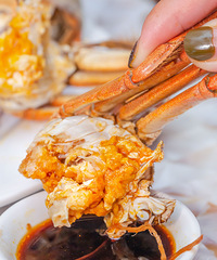 ˢ100+ŵǴբзֻֻƣ