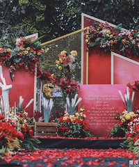 ��9000���ϼҰ���һ����ɫϵ�Ļ��񣬵��쾭�������������