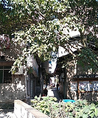 �����񾲵�ˮ���Ͻ�ֵ�ù�һ��