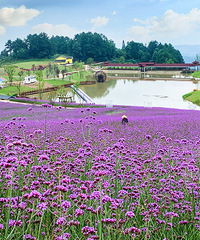 �����������Ļ����ɾ���һ��Ҫ��Ů������һ��