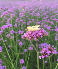 �����������Ļ����ɾ���һ��Ҫ��Ů������һ��