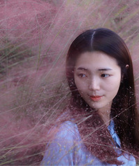 论如何装作陶醉在在粉黛花海里
