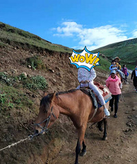 云南贵州经济型亲子自驾五日游,美食和风景都不错