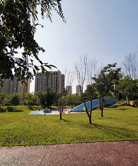 周末打卡悦来中央公园