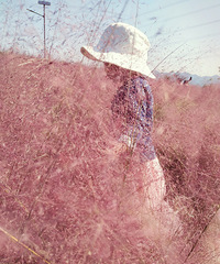 �����ķ������Ӳݿ����ˣ����д�Ƭ��ƺ