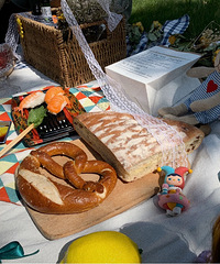 ��ɽ����ʪ�ع�԰��������ʺ����εĵط�