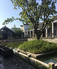 ������ׯ԰����ֱ�����������԰������ѳ���