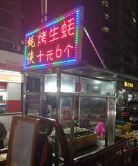 ���Ż�����