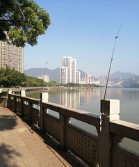 ���Ż�����