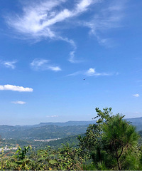 桥口坝森林公园很原始,爬山环境好还能才蘑菇