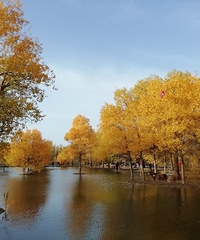 ����������˫��������