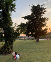 ȥ��ĸɽ̫����ʱ��ȥ����Ҳ�Ǹ�������ѡ��