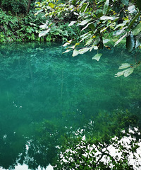 �ŷ����أ��˼��ɾ�