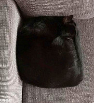 ���棬�Ҳ����Ϊ�Ǹ�����