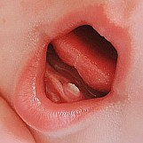 ����һ���������п���