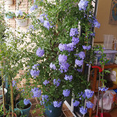 ǧ��Ҫ����̨������