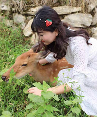 ����С������������