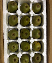 ⨺ҵˣװĺܺûлͷҲ