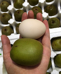 �������⨺��ҵ��ˣ���װ�ĺܺ�û�л�������ͷҲ����