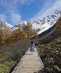 ����������Ĵ���С��ʿ������ȥ������