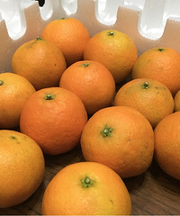 Ե׵Ĺȣˮݳ㣬˶˵ó