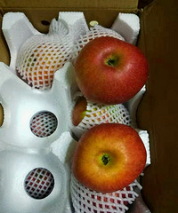 ��ƻ��30��/5��ڸ�һ���˶����ò���