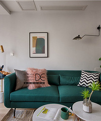 115ƽinsСѣʼֵദƷ