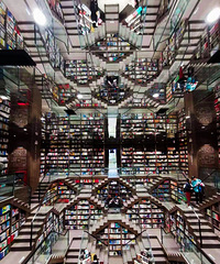 �����ƺ������������