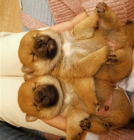 ��Ȯ����Сʱ����ĳ��ɰ�