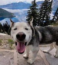 ���ͷ�������ЩͺȻ