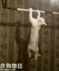 �����ޡ��һ����˽���ӹ���