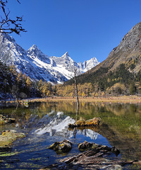 ������������ڱ��﹵����������������ɫ