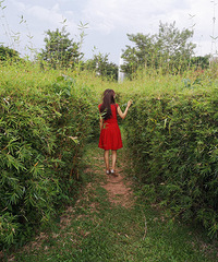 ����ɳ������˫���ɣ�����3500�����о�ϲ