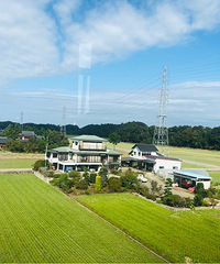 ����һ�ܣ������𣬲������ԵĶ���֮��