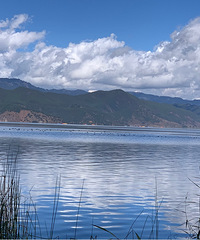 ���ɺ�ϣ���ٺܾ�ϲ����̨����ֱ�渧�ɺ���Ұ�ܺ�