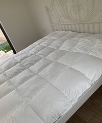 �����ҷĵı��ӣ����������������ڱ�����